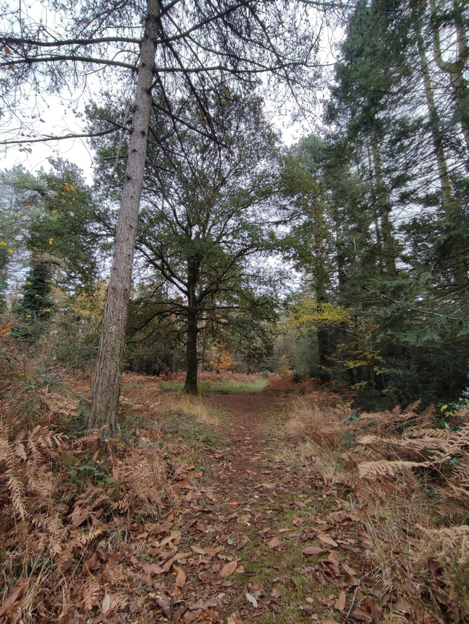 Gite Des Mezieres Brusvily Exteriér fotografie
